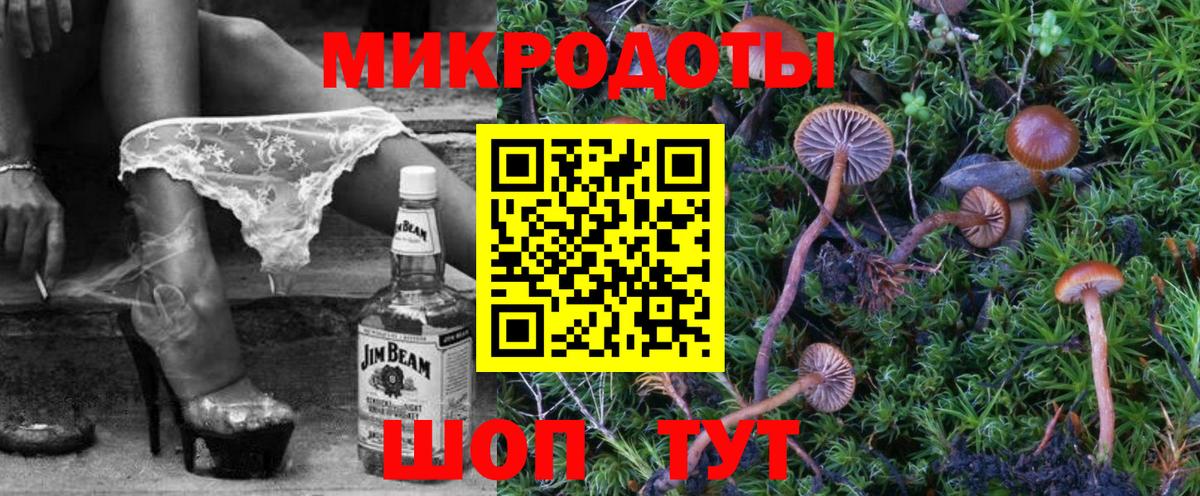 купить   Вход с VPN  Калининград  Галлюциногенные грибы Magic Shrooms  Псилоцибиновые грибы мицелий 