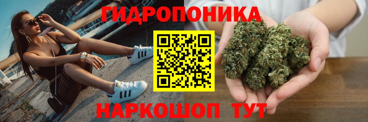Калининград  Конопля SATIVA & INDICA  Вход с VPN  Бошки Шишки сатива 